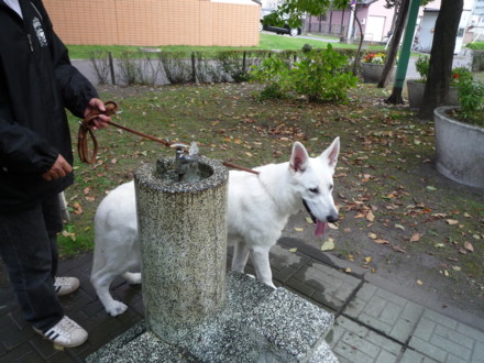 f:id:buhi84shin:20090921161859j:image f:id:buhi84shin:20090921161859j:image