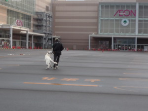 f:id:buhi84shin:20090922063837j:image:right f:id:buhi84shin:20090922063837j:image:right
