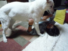 f:id:buhi84shin:20090924183540j:image:left f:id:buhi84shin:20090924183540j:image:left