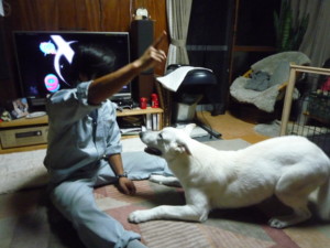 f:id:buhi84shin:20090924183726j:image:left f:id:buhi84shin:20090924183726j:image:left