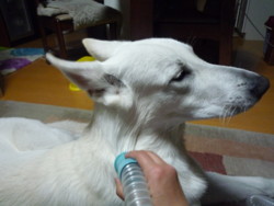 f:id:buhi84shin:20090925185704j:image:left f:id:buhi84shin:20090925185704j:image:left