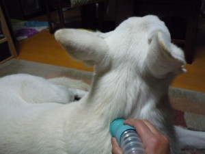 f:id:buhi84shin:20090925185707j:image:right f:id:buhi84shin:20090925185707j:image:right