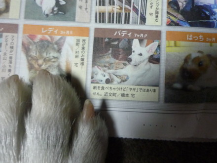 f:id:buhi84shin:20090925190723j:image f:id:buhi84shin:20090925190723j:image