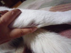 f:id:buhi84shin:20090925191719j:image:left f:id:buhi84shin:20090925191719j:image:left