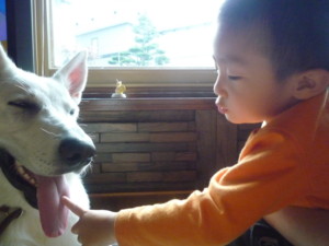 f:id:buhi84shin:20090926130820j:image:right f:id:buhi84shin:20090926130820j:image:right