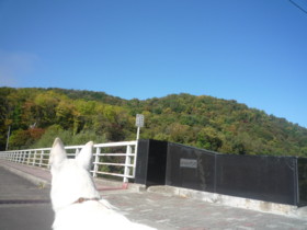 f:id:buhi84shin:20090927092619j:image:right