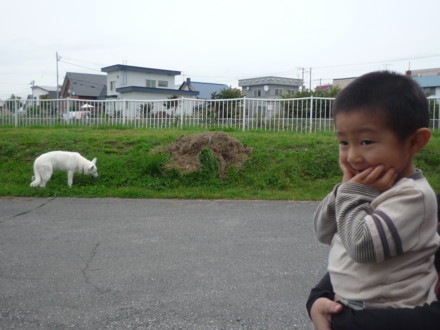 f:id:buhi84shin:20090928112800j:image f:id:buhi84shin:20090928112800j:image