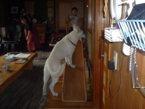 f:id:buhi84shin:20090928115034j:image:left f:id:buhi84shin:20090928115034j:image:left