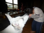 f:id:buhi84shin:20090928115143j:image:left f:id:buhi84shin:20090928115143j:image:left