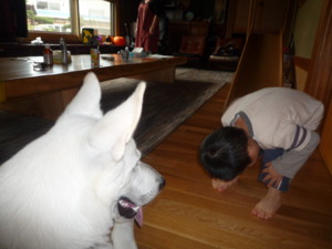 f:id:buhi84shin:20090928115148j:image:right f:id:buhi84shin:20090928115148j:image:right