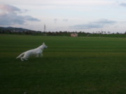 f:id:buhi84shin:20090930171724j:image:left f:id:buhi84shin:20090930171724j:image:left