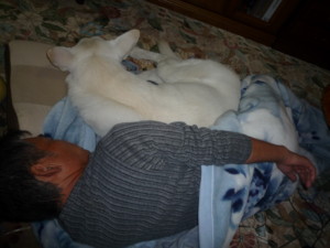f:id:buhi84shin:20090930224106j:image:left f:id:buhi84shin:20090930224106j:image:left