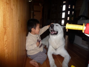 f:id:buhi84shin:20091105113954j:image:right