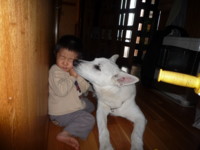 f:id:buhi84shin:20091105114005j:image:left