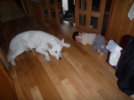 f:id:buhi84shin:20091105115922j:image