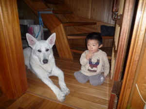 f:id:buhi84shin:20091105120323j:image:right