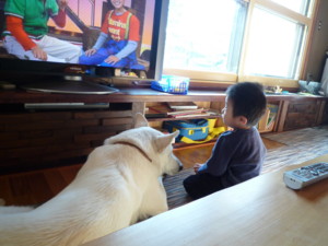 f:id:buhi84shin:20091112114552j:image:left