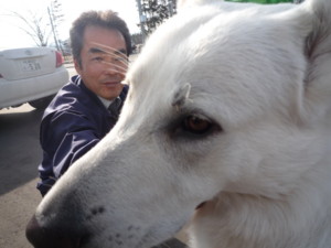f:id:buhi84shin:20091113130450j:image:right