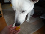 f:id:buhi84shin:20091116103106j:image:right
