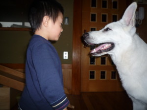 f:id:buhi84shin:20091119144635j:image:right