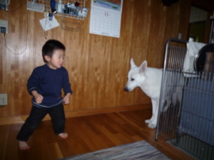 f:id:buhi84shin:20091119145137j:image:left