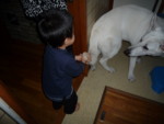 f:id:buhi84shin:20091119145243j:image:right