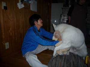 f:id:buhi84shin:20091119145923j:image:left