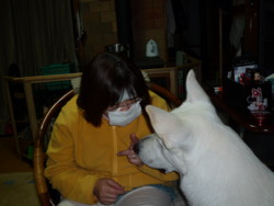 f:id:buhi84shin:20091125213223j:image:left