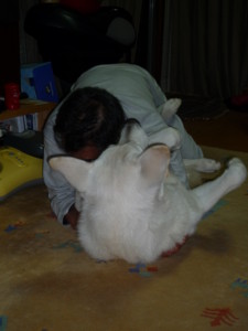 f:id:buhi84shin:20091206220332j:image:left