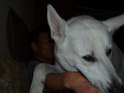 f:id:buhi84shin:20091210193134j:image:right