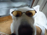 f:id:buhi84shin:20091219210453j:image:right