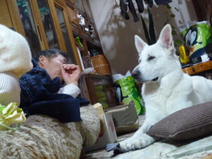 f:id:buhi84shin:20100102215308j:image:left