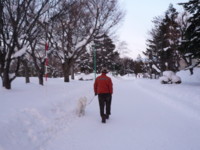 f:id:buhi84shin:20100103162212j:image:left f:id:buhi84shin:20100103162212j:image:left