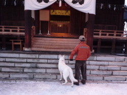 f:id:buhi84shin:20100103163027j:image:right f:id:buhi84shin:20100103163027j:image:right
