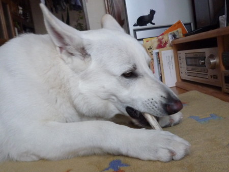 f:id:buhi84shin:20100105144212j:image f:id:buhi84shin:20100105144212j:image