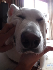 f:id:buhi84shin:20100106122110j:image:right f:id:buhi84shin:20100106122110j:image:right