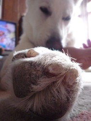 f:id:buhi84shin:20100106122209j:image:right f:id:buhi84shin:20100106122209j:image:right