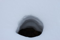 f:id:buhi84shin:20100111092859j:image:left
