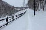 20100111093213