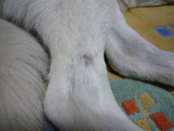 f:id:buhi84shin:20100113192556j:image:left