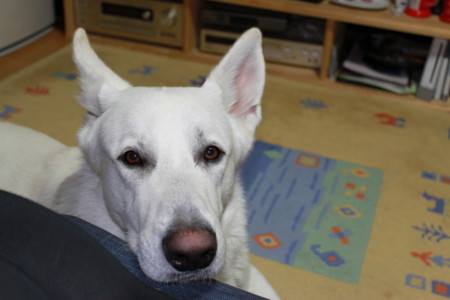 f:id:buhi84shin:20100122205405j:image f:id:buhi84shin:20100122205405j:image