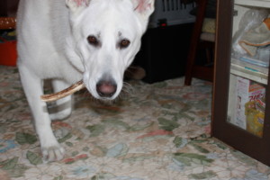 f:id:buhi84shin:20100124092425j:image:right f:id:buhi84shin:20100124092425j:image:right