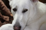 f:id:buhi84shin:20100128190651j:image:right f:id:buhi84shin:20100128190651j:image:right