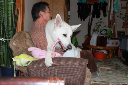 20100128193459