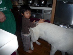 20100130162414