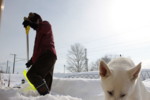 f:id:buhi84shin:20100131101850j:image:left f:id:buhi84shin:20100131101850j:image:left