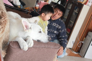 f:id:buhi84shin:20100404111454j:image:right