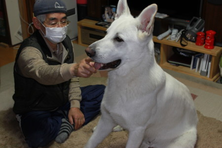 f:id:buhi84shin:20100421190433j:image