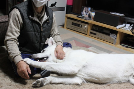f:id:buhi84shin:20100421191008j:image