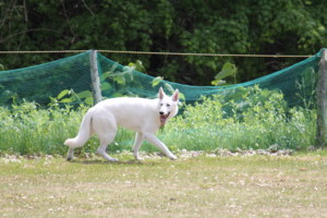 f:id:buhi84shin:20100613130507j:image:left f:id:buhi84shin:20100613130507j:image:left